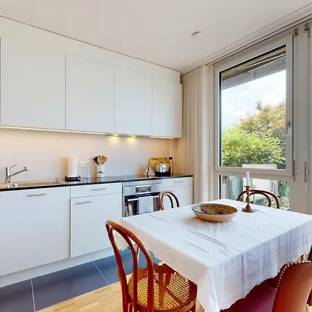 Bright Flat Overlooking Geneva Montreux