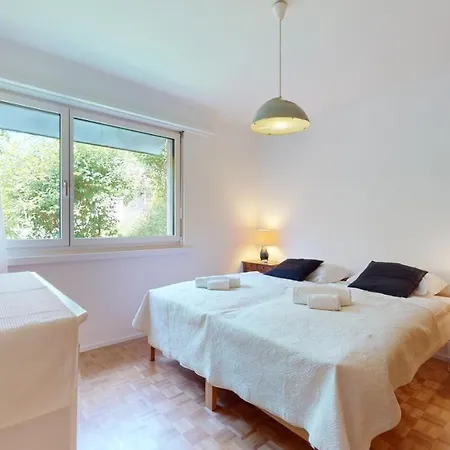 Bright Flat Overlooking Geneva