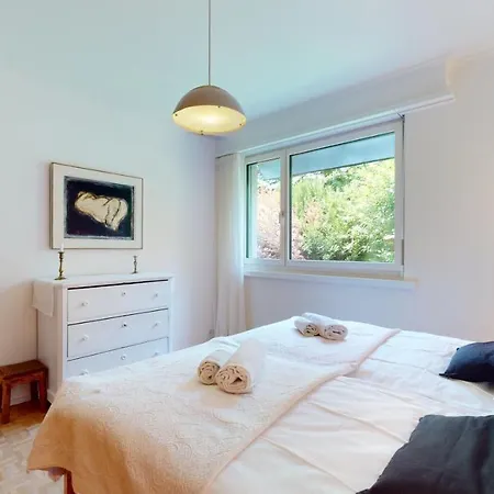 Bright Flat Overlooking Geneva