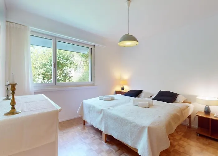 Bright Flat Overlooking Geneva